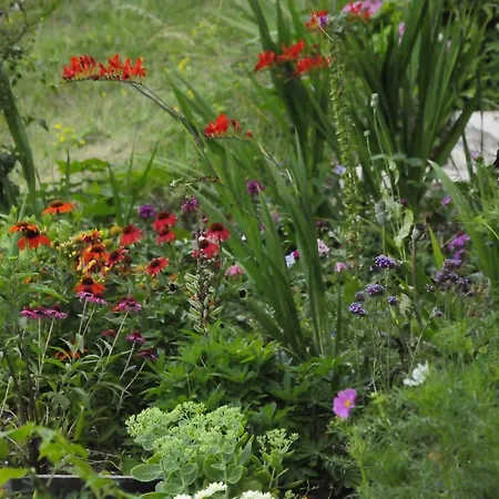 Nocleg ze śniadaniem Il Sanco Selva di Progno