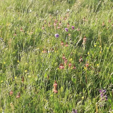 Il Sanco Nocleg ze śniadaniem 3*