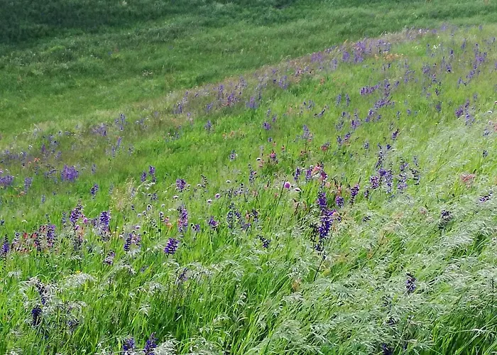 Il Sanco Frühstückspension